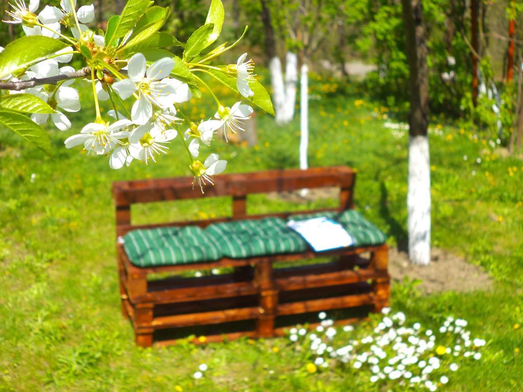 Pensiunea Valea Cernei Teliucu Inferior Luaran gambar
