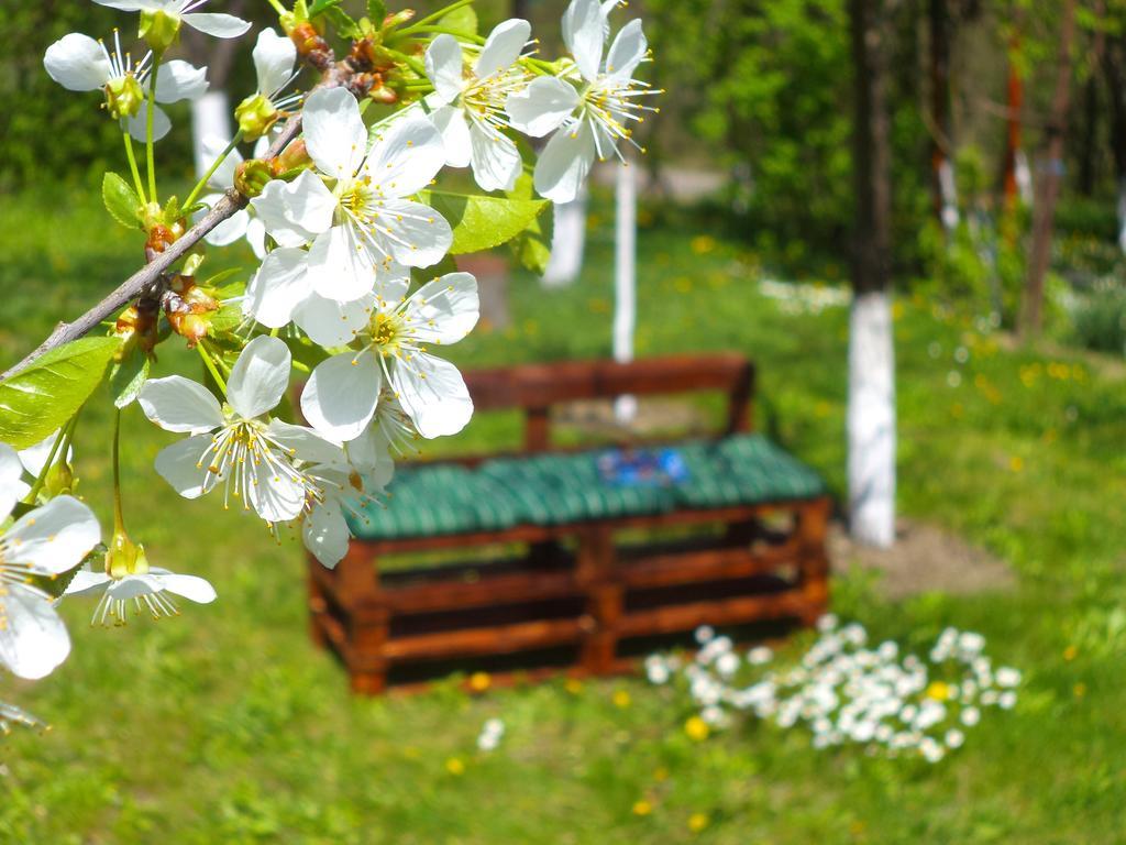 Pensiunea Valea Cernei Teliucu Inferior Luaran gambar